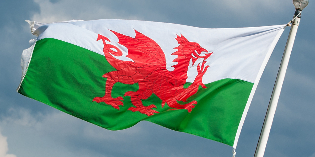 The Welsh flag, for the best Welsh novel